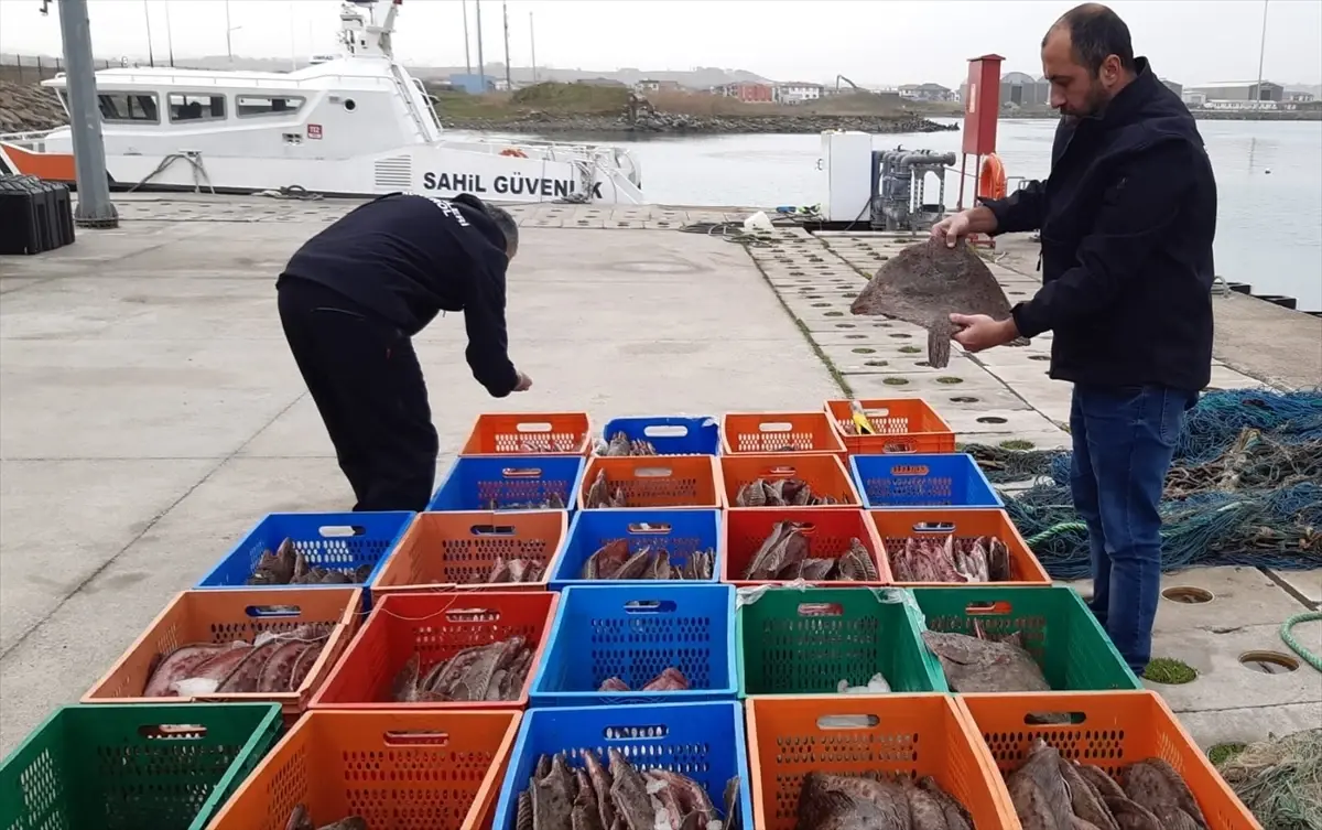 Karasu’da Kaçak Kalkan Avcılığına 905 Bin Lira Ceza