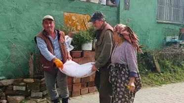 Aydın Pamukçular Köyü'nde Yılın İlk Leylek Görüldü