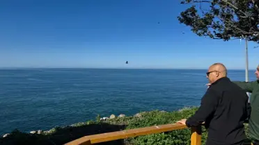 Giresun Valisi Koç, Giresun Adası'nda Çevre Düzenleme Çalışmalarını İnceledi
