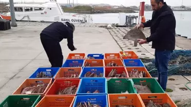 Ele geçirilen 850 kg balık