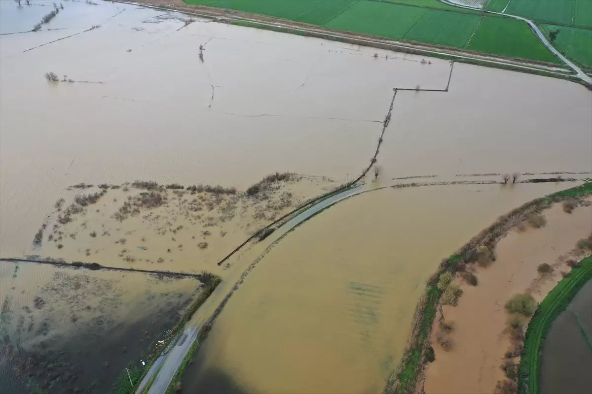 Aydın’da Şiddetli Sağanak Sonrası Büyük Menderes Nehri Taştı, Tarım Alanları Sular Altında Kaldı