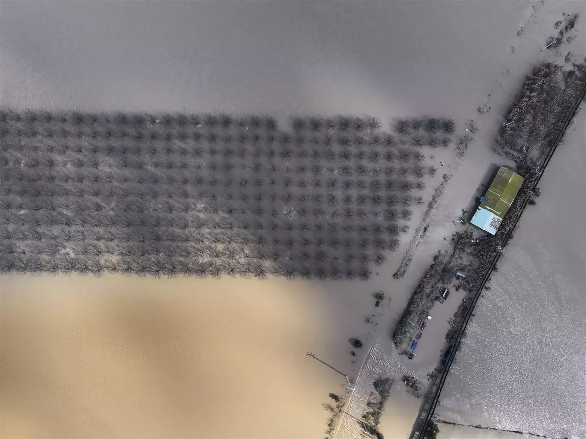 Gediz Nehri Selinde Menemen Tarım Alanları Su Altına Gömüldü