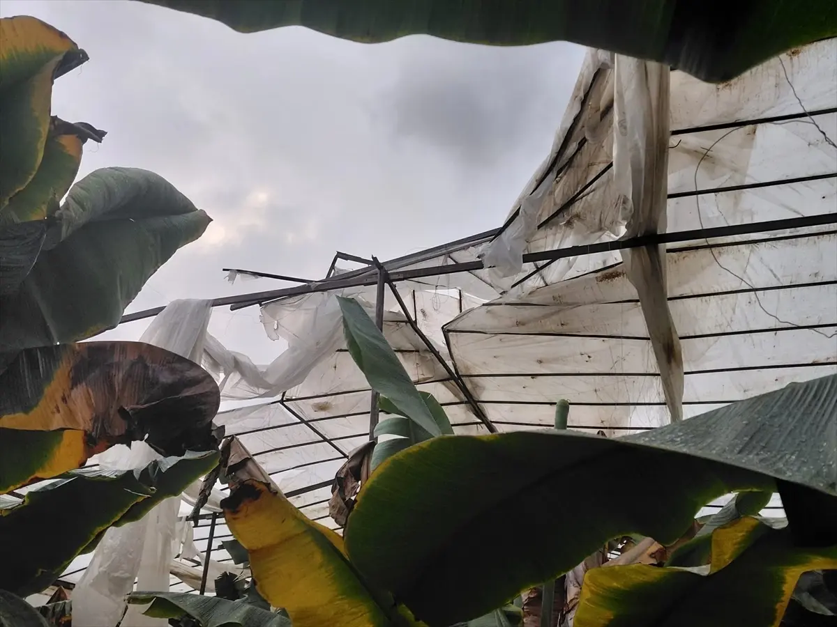 Mersin’de Şiddetli Fırtına ve Hortum Tarım Alanlarını Zarar Altına Aldı