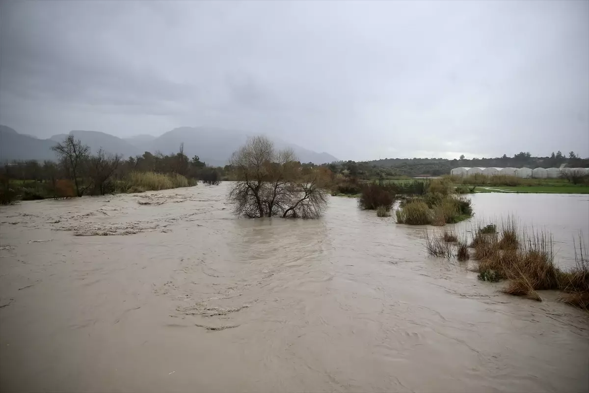 Muğla’da Şiddetli Yağışların Ardından Sel ve Tarım Alanlarında Büyük Hasar
