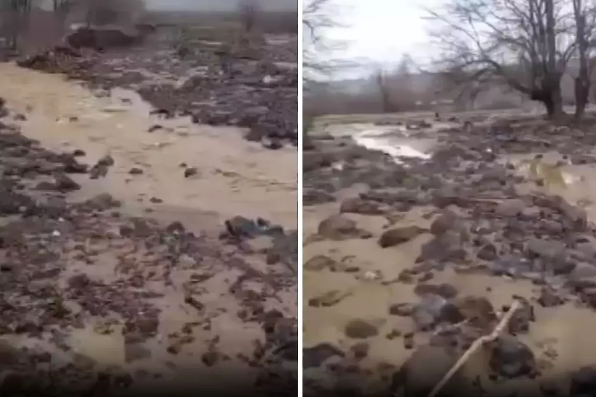 Bingöl Genç’te Sağanak Yağış Tarım Alanlarını Sular Altına Soktu