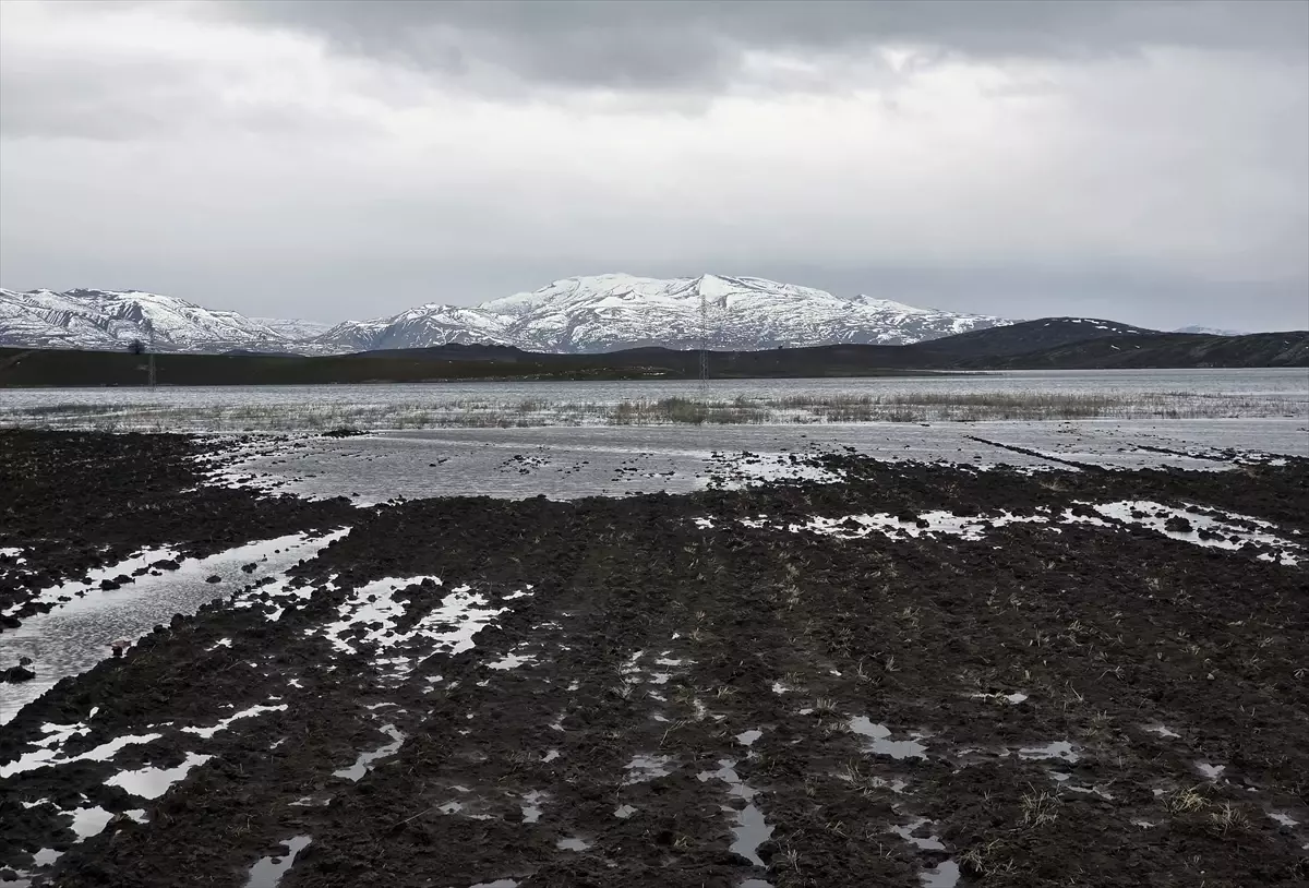 Sivas’ın Hafik ve Zara İlçelerinde Tarım Arazileri Sel Sularına Boğuldu