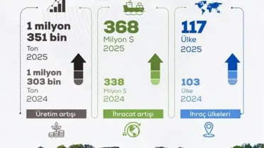 Tohum ihracatını temsil eden görsel