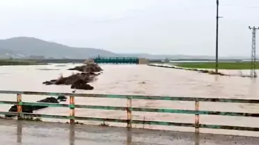 İslahiye'de sel sonrası zarar görmüş tarım tarlaları