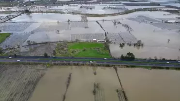 Manisa'da Gediz Nehri Sel Felaketi: Tarım Alanları Su Altında