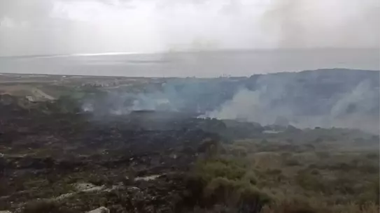 Hatay Samandağ’da Çıkan Orman Yangını Başarıyla Kontrol Altına Alındı