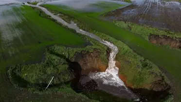 İzmir’in Yoğun Yağışları Tarım Arazilerini Yeniden Hayata Döndürdü