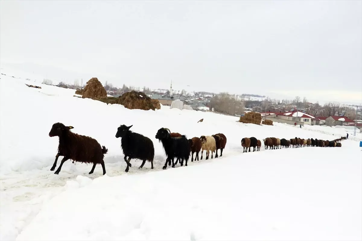 Ağrı Dağı’nın Bembeyaz Kış Manzaraları Fotoğrafçılara İlham Kaynağı