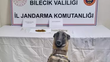 Bilecik'in Gölpazarı İlçesinde Uyuşturucu Operasyonu Gerçekleşti