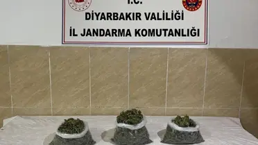 Diyarbakır'da Büyük Uyuşturucu Operasyonu: 12 Şüpheli Yakalandı