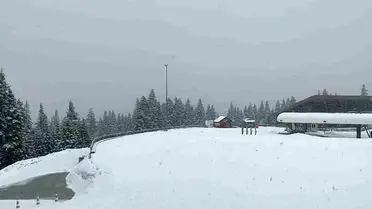 Ilgaz Dağı'nda karla kaplı orman